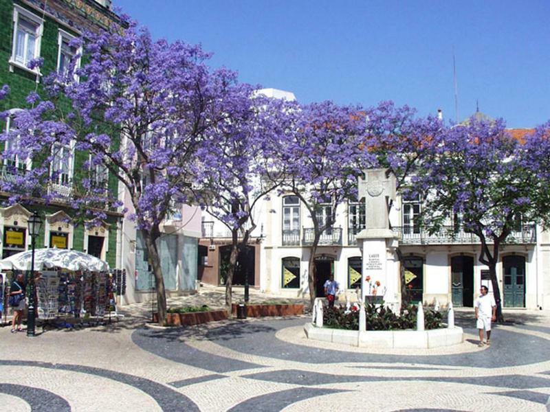 Casa Silvia Διαμέρισμα Λάγος Εξωτερικό φωτογραφία
